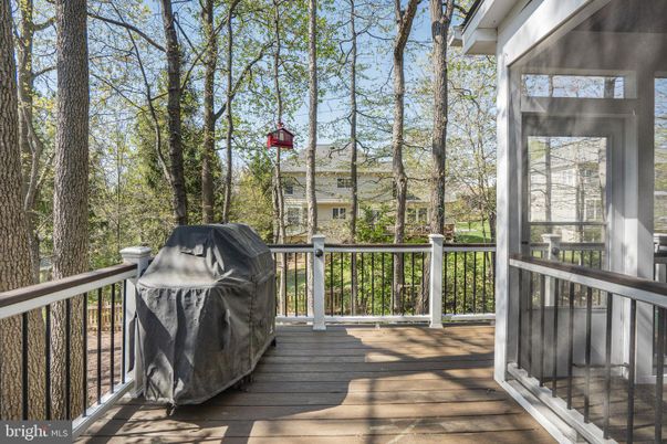 Exterior, Wood Texture Flooring