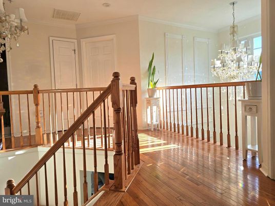 Chandelier, Interior, Wood Texture Flooring