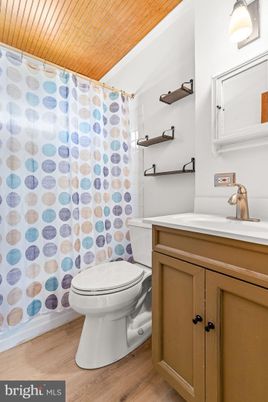 Bathroom, Interior, Wooden Ceilings, Wood Texture Flooring