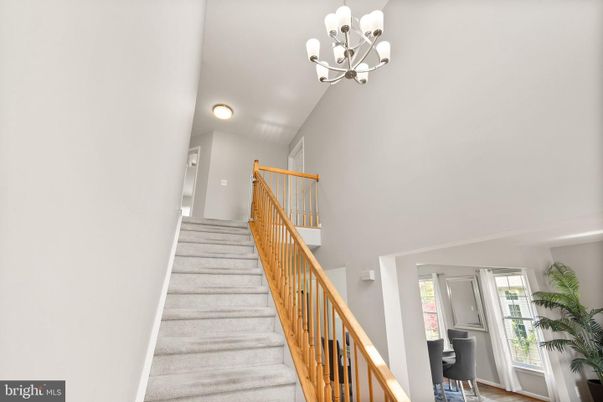 Chandelier, Interior, Wood Texture Flooring