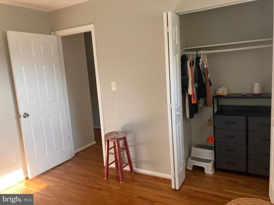 Interior, Walk-in Closets, Wood Texture Flooring