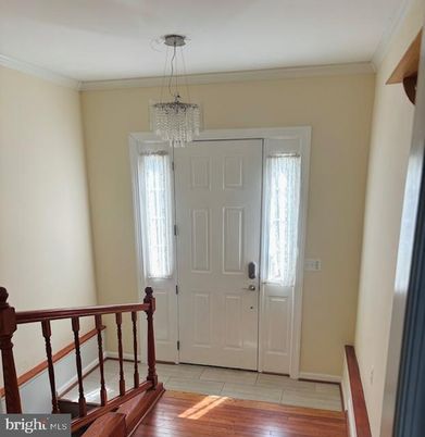Chandelier, Interior, Wood Texture Flooring