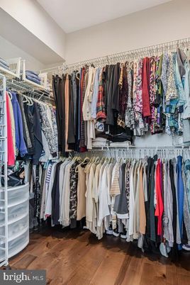 Interior, Walk-in Closets, Wood Texture Flooring