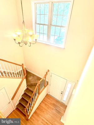 Chandelier, Interior, Wood Texture Flooring