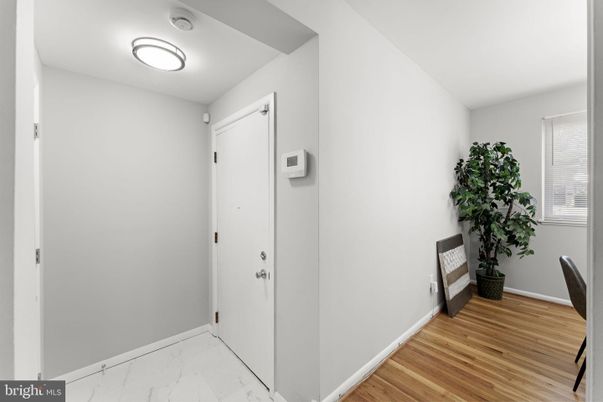 Interior, Marble, Wood Texture Flooring