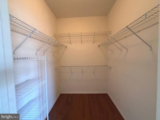 Interior, Walk-in Closets, Wood Texture Flooring