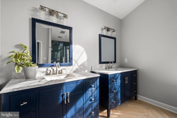 Bathroom, Dual Sink Vanities, Interior, Wood Texture Flooring