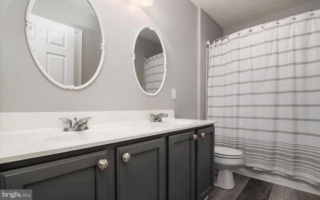 Bathroom, Dual Sink Vanities, Interior, Wood Texture Flooring