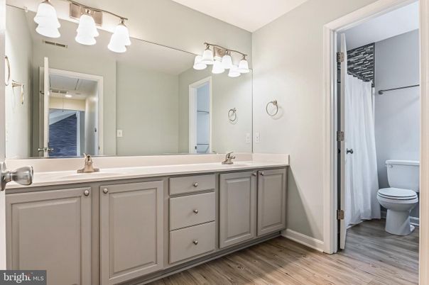 Bathroom, Dual Sink Vanities, Interior, Wood Texture Flooring