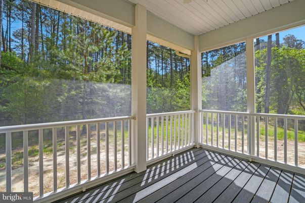 Interior, Sun Room, Wood Texture Flooring