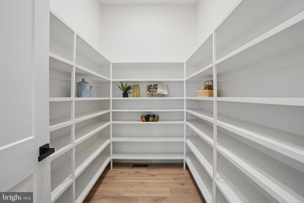Interior, Walk-in Closets, Wood Texture Flooring