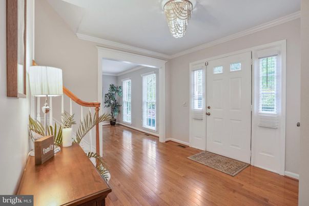 Chandelier, Interior, Wood Texture Flooring