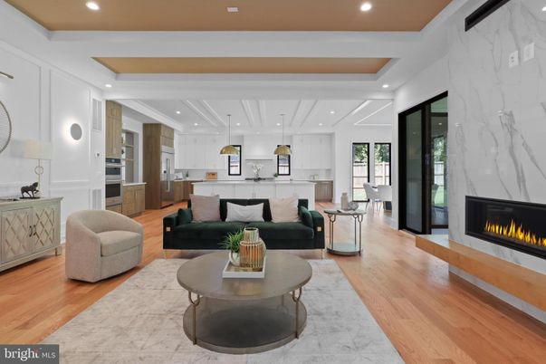 Fireplace, Interior, Kitchen, Living room, Marble Walls, Pendant Lights, Recessed Lighting, Stainless Steel Appliances, Wood Texture Flooring