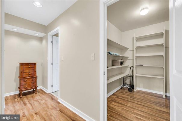 Interior, Recessed Lighting, Walk-in Closets, Wood Texture Flooring