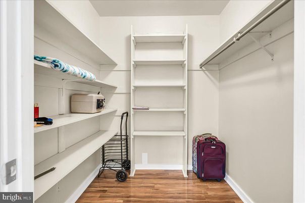 Interior, Walk-in Closets, Wood Texture Flooring