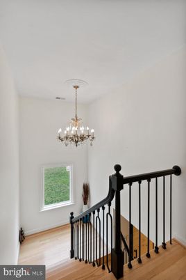 Chandelier, Interior, Wood Texture Flooring