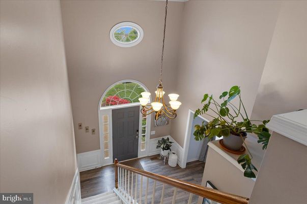 Chandelier, Interior, Wood Texture Flooring