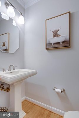 Bathroom, Interior, Wood Texture Flooring