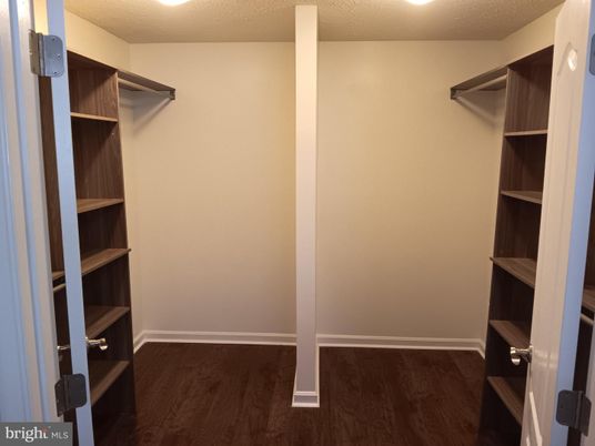 Interior, Walk-in Closets, Wood Texture Flooring