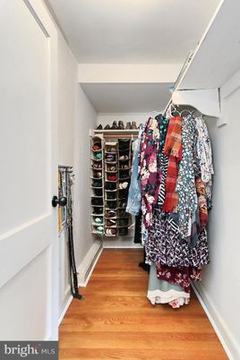Interior, Walk-in Closets, Wood Texture Flooring