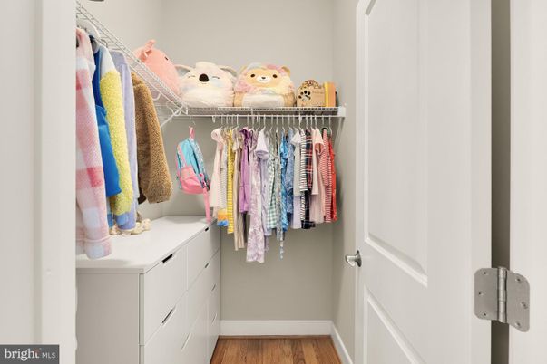 Interior, Walk-in Closets, Wood Texture Flooring