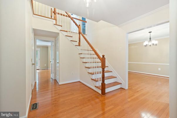 Chandelier, Interior, Wood Texture Flooring