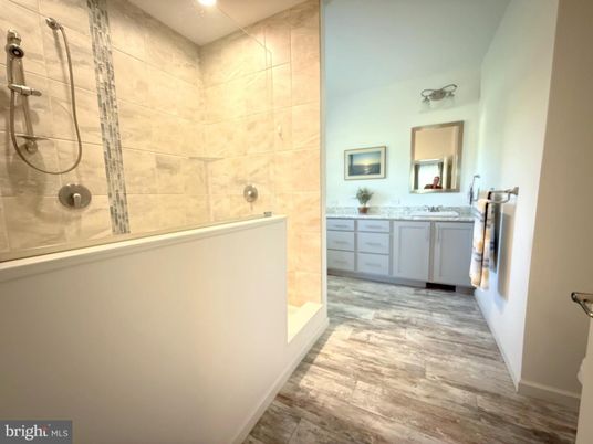 Bathroom, Interior, Recessed Lighting, Wood Texture Flooring