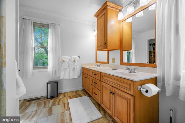 Bathroom, Dual Sink Vanities, Interior, Wood Texture Flooring