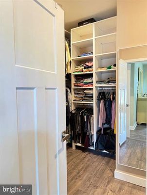 Interior, Walk-in Closets, Wood Texture Flooring