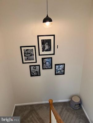 Interior, Pendant Lights