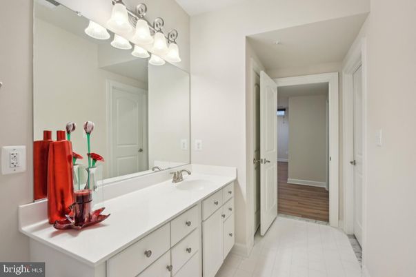 Bathroom, Dual Sink Vanities, Interior, Wood Texture Flooring