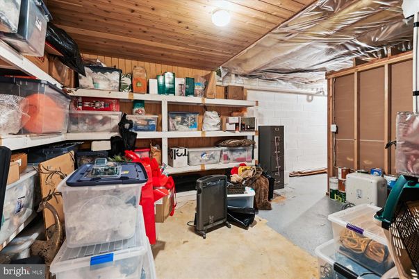 Interior, Wooden Ceilings