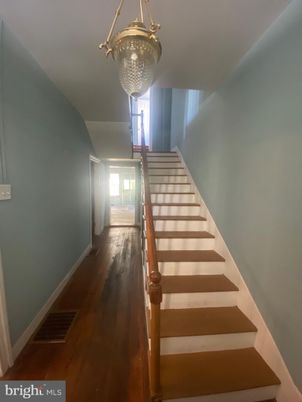 Chandelier, Interior, Wood Texture Flooring