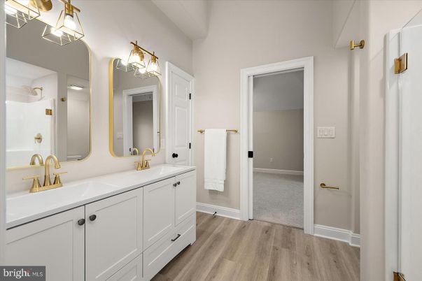 Bathroom, Dual Sink Vanities, Interior, Wood Texture Flooring