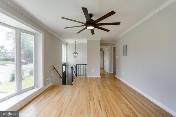 Empty room, Interior, Pendant Lights, Wood Texture Flooring