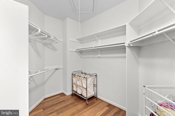 Interior, Walk-in Closets, Wood Texture Flooring