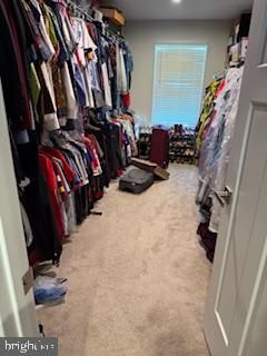 Interior, Recessed Lighting, Walk-in Closets