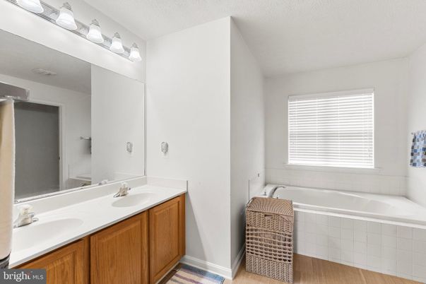 Bathroom, Dual Sink Vanities, Interior, Wood Texture Flooring