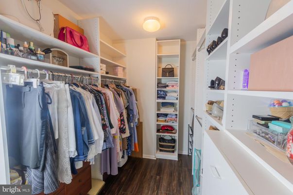Interior, Walk-in Closets, Wood Texture Flooring