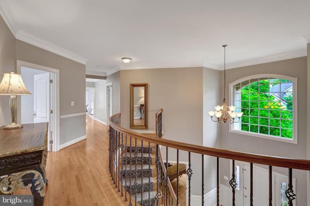 Chandelier, Interior, Wood Texture Flooring