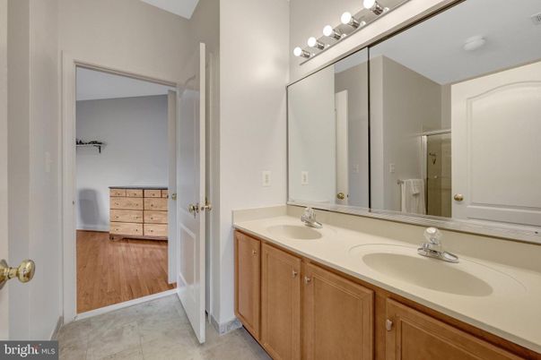 Bathroom, Dual Sink Vanities, Interior, Wood Texture Flooring