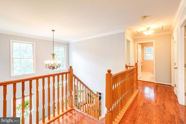 Chandelier, Interior, Wood Texture Flooring