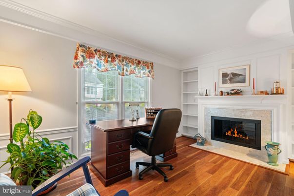 Fireplace, Home Office, Interior, Wood Texture Flooring