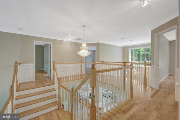 Chandelier, Interior, Wood Texture Flooring