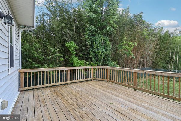 Exterior, Wood Texture Flooring