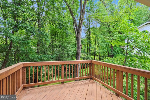 Exterior, Wood Texture Flooring