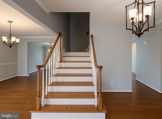 Chandelier, Interior, Wood Texture Flooring