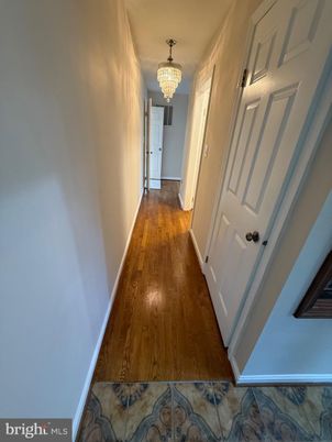 Chandelier, Interior, Wood Texture Flooring