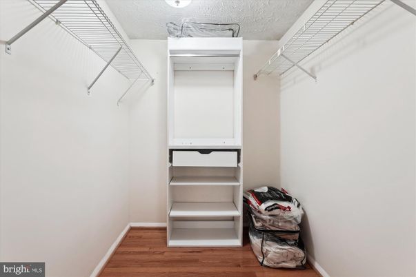 Interior, Walk-in Closets, Wood Texture Flooring