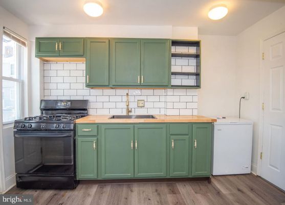 Interior, Kitchen, Washer, Wood Texture Flooring